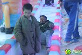 只剩7天了  萬浩金百合冰雕展開放最后7天！