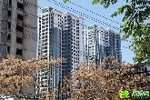 盛錦花園一個(gè)交工在即的準(zhǔn)現(xiàn)房！