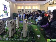 美的梧桐林語、幸福時光城市展廳開放儀式圓滿落幕