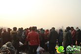 未來城“年前屯好貨 文江趕大集”活動圓滿結束