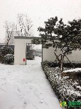 銀裝素裹美不勝收，有一種雪景叫錦繡江南！