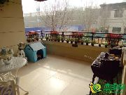 小編看房日記之碧桂園·天璽——改善生活 享受品質(zhì)