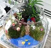 來(lái)自春天的禮物，鉑爾縵國(guó)際公館多肉綠植DIY即將歡樂(lè)開(kāi)啟！