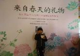 鉑爾縵國(guó)際公館—綠植DIY3月12日創(chuàng)意上演