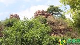 榮盛物業(yè)感恩回饋老業(yè)主共邀各位前往愛(ài)情山