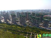 進(jìn)度圖怎么沒有？停工了？怎么可能 網(wǎng)友你別鬧了！