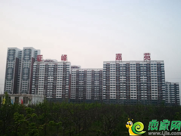 2017꺪ַ,׼ַͳ