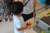 水潤(rùn)一夏有訣竅，東部美的城水果盛宴讓你晶瑩一夏天