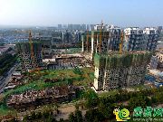 【萬(wàn)浩金百合北區(qū)】最新的一波工地航拍圖—8.4