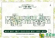 【大樹(shù)康城】戶(hù)型賞析,帶你了解大樹(shù)康城精美戶(hù)型！