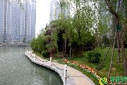 北湖十六峯二期 精美戶型榮耀加推！終于等到你了！