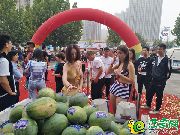 “花漾生活 郡情盛開”8月19日隆基泰和未來花郡華美綻放