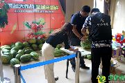 北湖十六峯 果蔬大作戰(zhàn) 你收到送出的新鮮水果了嗎？