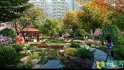 大樹康城--你公園里的家，尊享悠然生活！