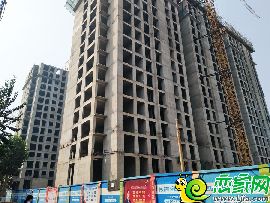 中央名都房源已經(jīng)售罄 最新進度，別墅模樣很好看