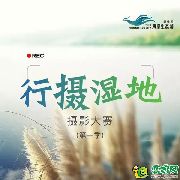 前方一大波“不能錯(cuò)過(guò)的攝影”襲來(lái)，這次你躲不過(guò)的