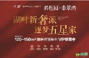 逗趣企鵝 唯美蝴蝶來襲 | 捕捉童趣 還你一段童年時(shí)光