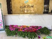 沁水君瀾盛世啟幕 復(fù)興區(qū)域崛起濱河美宅
