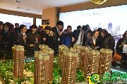 11月26日，跟戀家網(wǎng)看房團(tuán)一起走進(jìn)碧桂園天匯灣