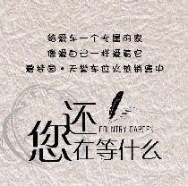 【如果汽車會思考】表情很到位，眼里都是戲