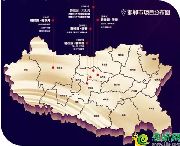 盛宴落幕，感恩常在丨碧桂園攜手開心麻花嗨爆邯鄲