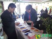 溫暖冬日，未來(lái)花郡美味披薩來(lái)襲，你來(lái)了嗎？