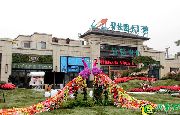 哇哦！碧桂園·天匯灣醉美示范區(qū)&樣板間同步盛放了