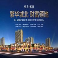 假如我有一間商鋪，我就可以...