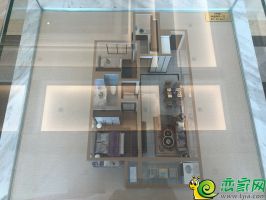D戶型