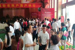 綻放~林安國際·智慧商貿(mào)城盛世開盤