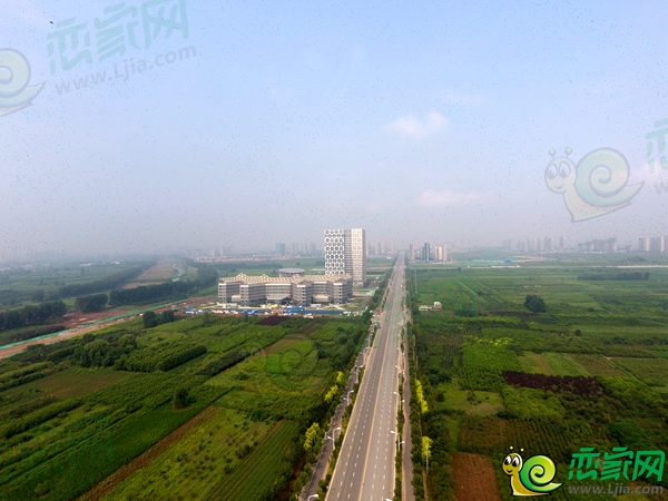 東部新區(qū)道路——叢臺路