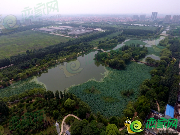 月愛(ài)湖公園