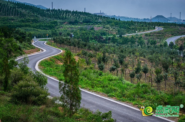 叢臺區(qū)紫山路