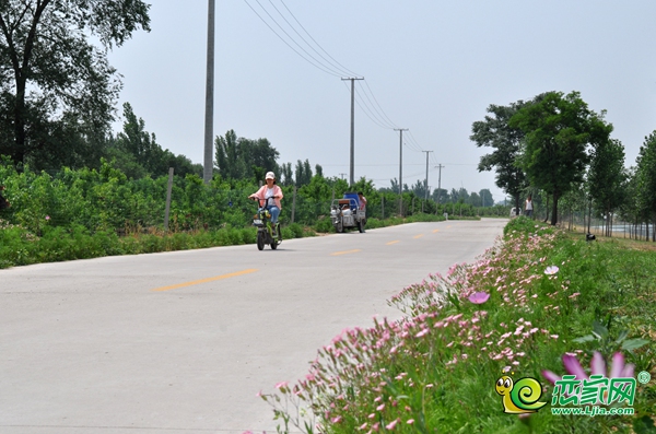 邱縣老沙河觀光路