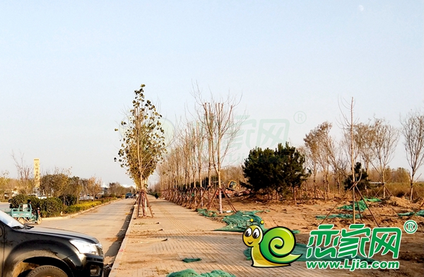 聯(lián)紡路東延