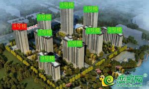 喜報(bào)：未來花郡1、3、5、7號樓順利取得預(yù)售證