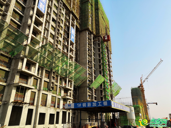 榮科·家苑施工進度