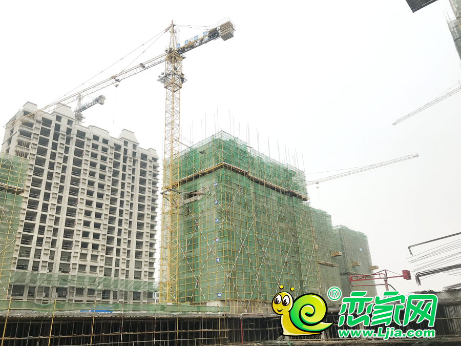 榮科·家苑2月施工進(jìn)度