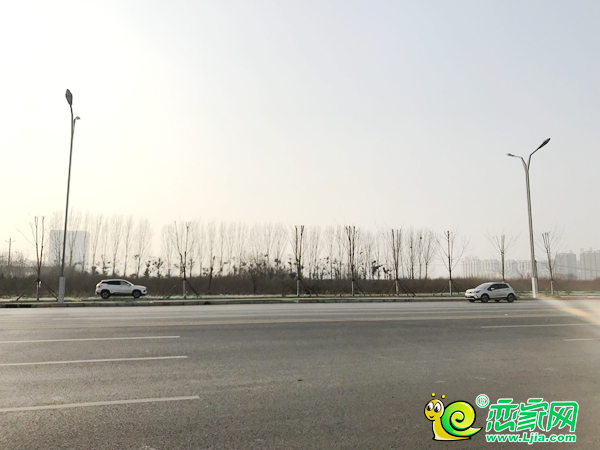 修葺一新的毛遂大街（照片拍攝于2019.2.23）