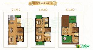 桃源山莊244-246㎡戶型