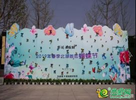 萬蝶齊飛轟動全城，夢湖孔雀城蝴蝶節(jié)歡樂ing