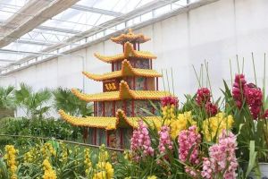 五一去哪兒玩？邯鄲人收藏這一篇就夠了！
