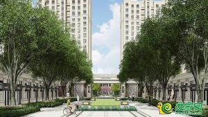 民生·城市主人 | 在肥鄉(xiāng)，怎樣才算大戶人家？