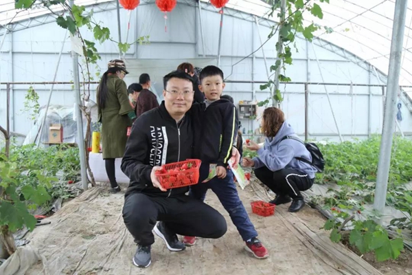 草莓,富力,富力院士廷,