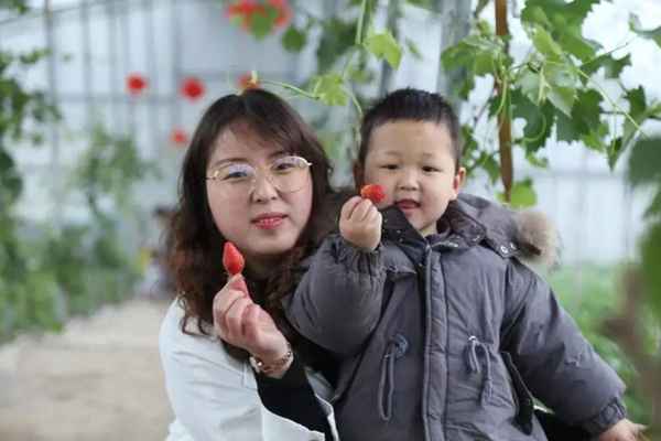 草莓,富力,富力院士廷,