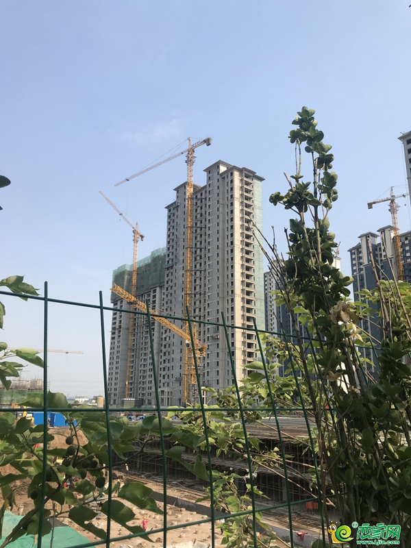 北湖十六峯,北湖,進(jìn)度,工程進(jìn)度