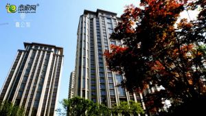 恋家视频：邯郸鑫公馆2019年宣传片