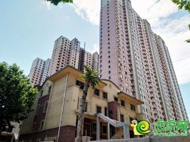 中央名都交房推到明年，工地?zé)o動(dòng)工跡象