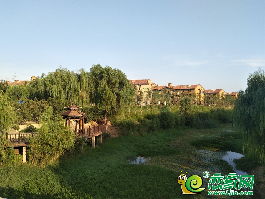 實景圖