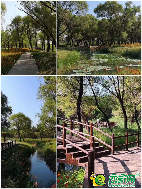 “生態(tài)沁河 綠美復(fù)興”澤信地產(chǎn)一起共建美好家園